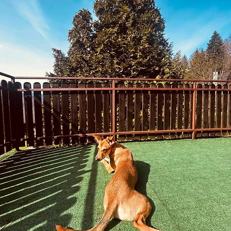Willa Karolinka Stroza - Pet Friendly Myslenice Ngoại thất bức ảnh