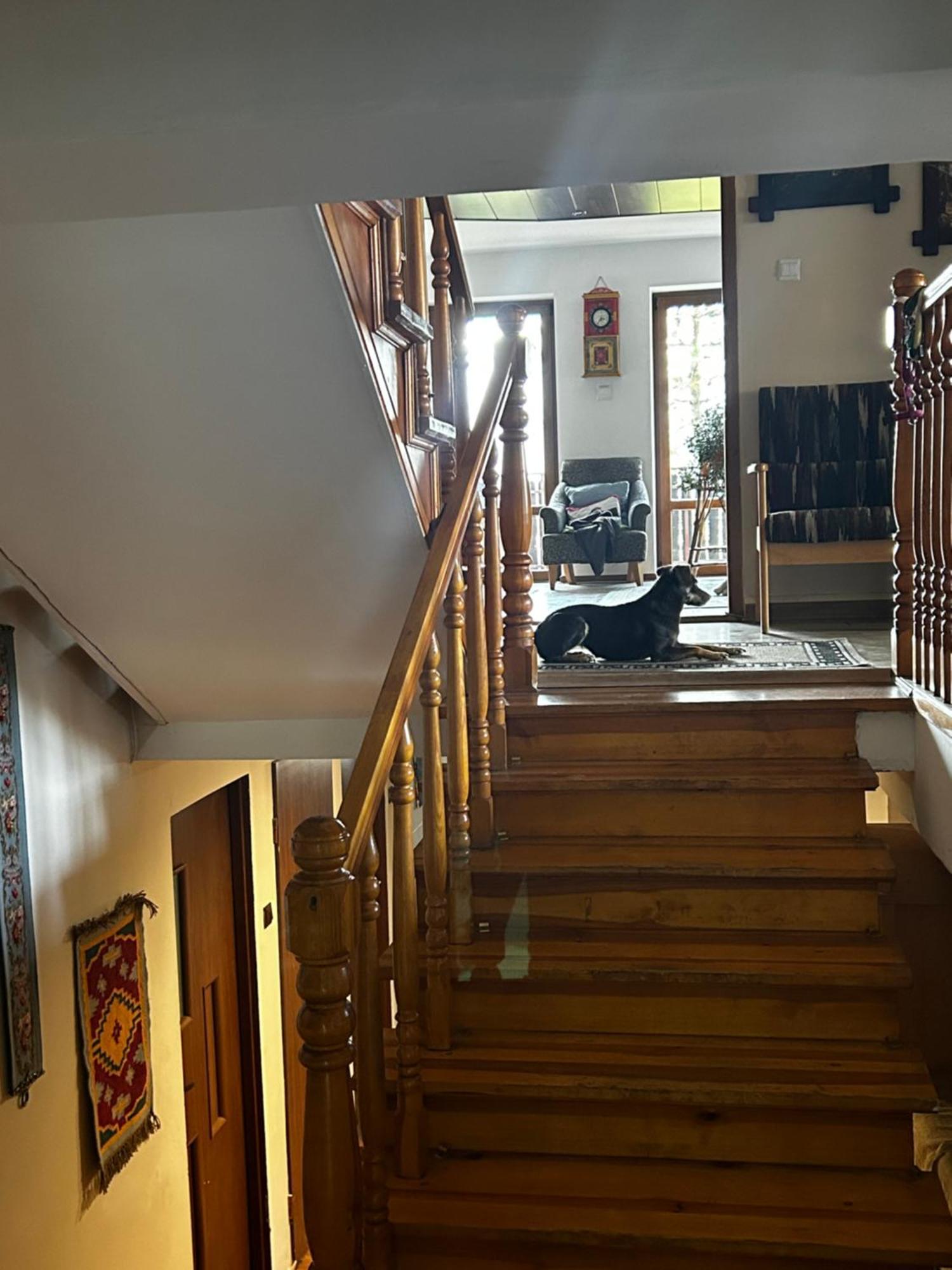 Willa Karolinka Stroza - Pet Friendly Myslenice Ngoại thất bức ảnh
