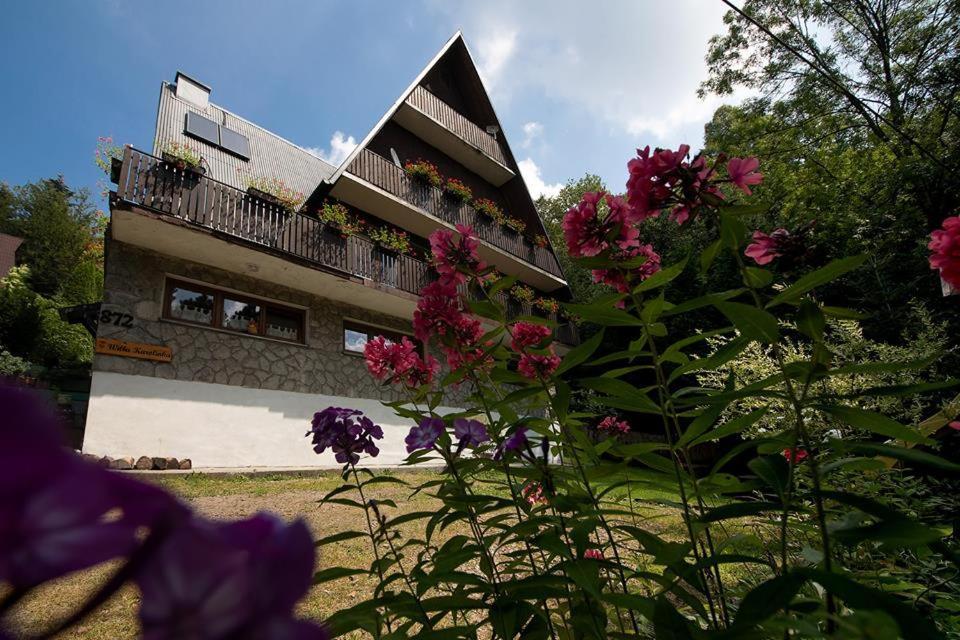 Willa Karolinka Stroza - Pet Friendly Myslenice Ngoại thất bức ảnh